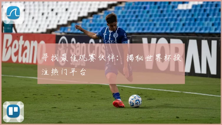 寻找最佳观赛伙伴：揭秘世界杯投注热门平台