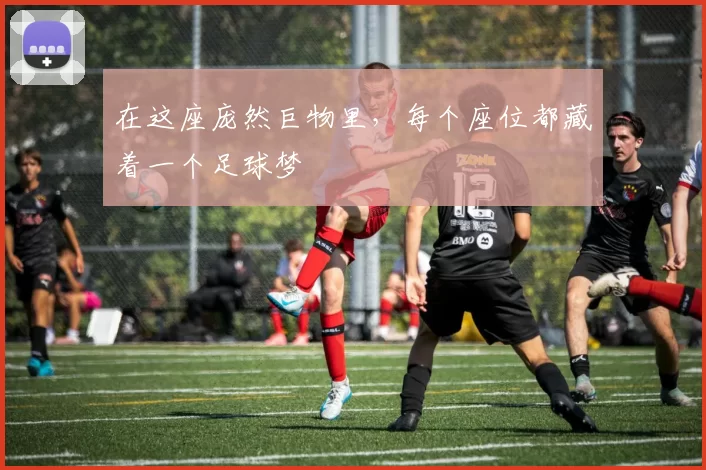 在这座庞然巨物里，每个座位都藏着一个足球梦