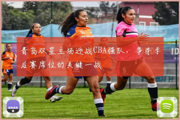青岛双星主场迎战CBA强队，争夺季后赛席位的关键一战