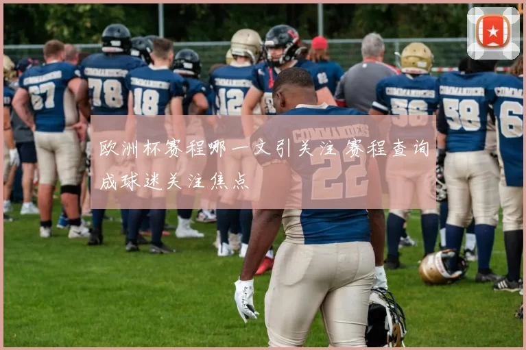 欧洲杯赛程哪一文引关注 赛程查询成球迷关注焦点