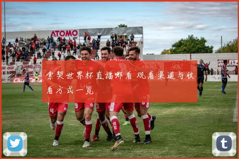 索契世界杯直播哪看 观看渠道与收看方式一览