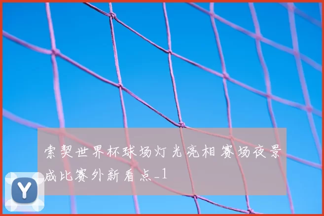 索契世界杯球场灯光亮相 赛场夜景成比赛外新看点_1