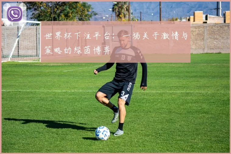 世界杯下注平台：一场关于激情与策略的绿茵博弈