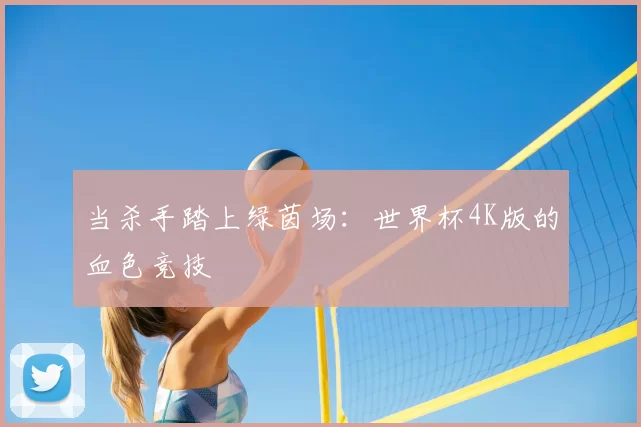 当杀手踏上绿茵场：世界杯4K版的血色竞技