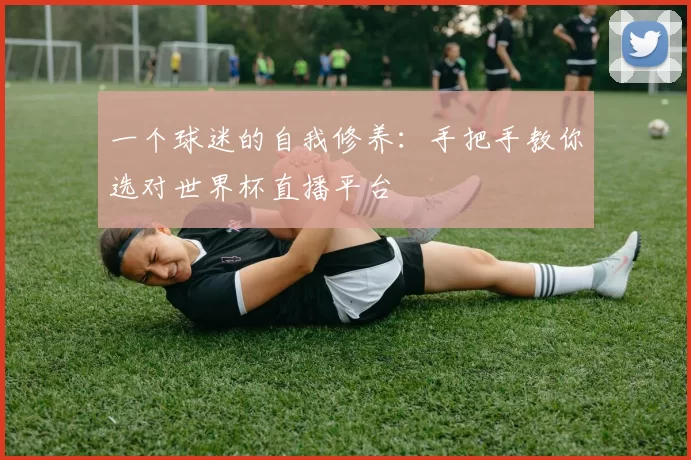 一个球迷的自我修养：手把手教你选对世界杯直播平台