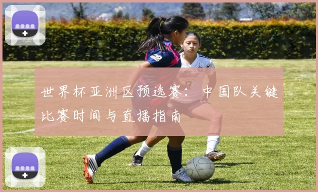 世界杯亚洲区预选赛:中国队关键比赛时间与直播指南