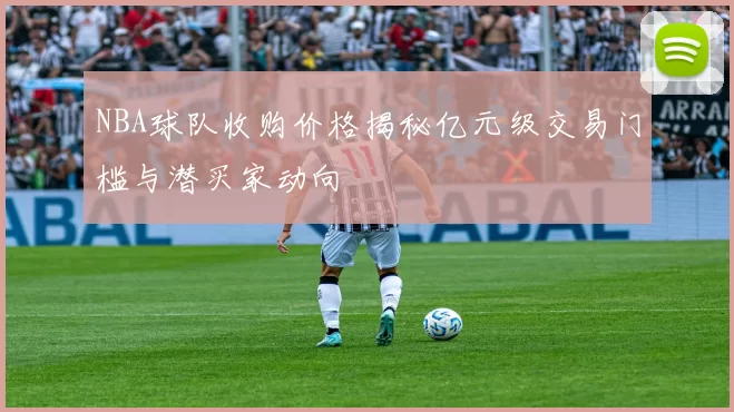 NBA球队收购价格揭秘亿元级交易门槛与潜买家动向