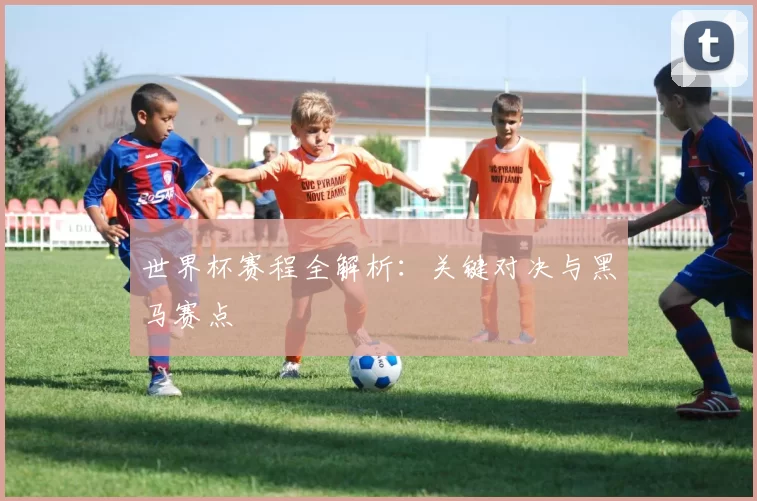 世界杯赛程全解析:关键对决与黑马赛点