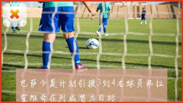 巴萨今夏计划引援3到4名球员弗拉霍维奇在列成潜力目标