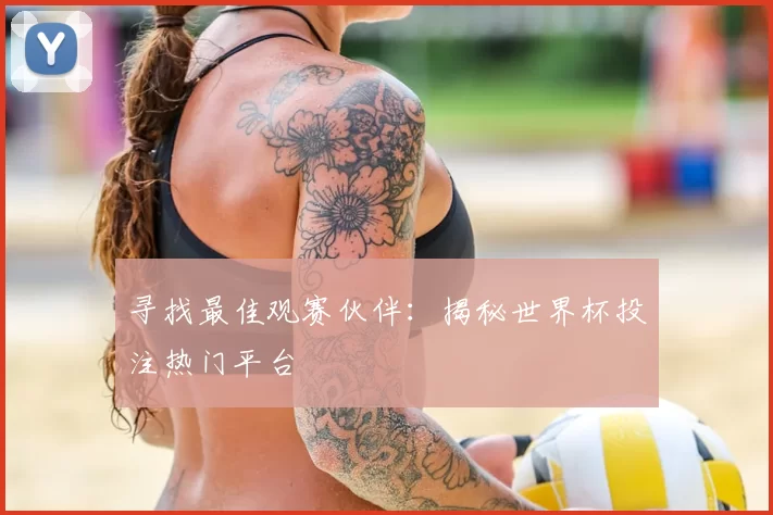 寻找最佳观赛伙伴：揭秘世界杯投注热门平台