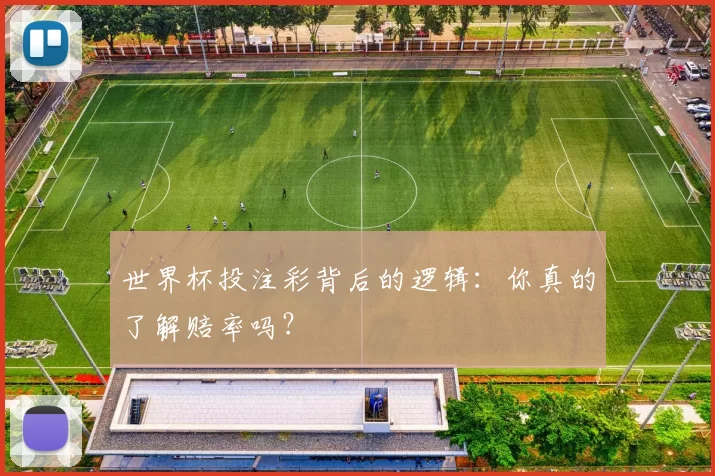 世界杯投注彩背后的逻辑：你真的了解赔率吗？